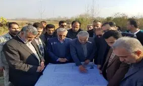 بازار برنج تحرک خوبی دارد