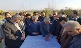 بازار برنج تحرک خوبی دارد