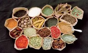 طب مدرن یا سنتی؛ کدام‌یک دوای دردهای امروز ماست؟