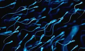 استفاده از اسپرم برای درمان بیماران سرطانی