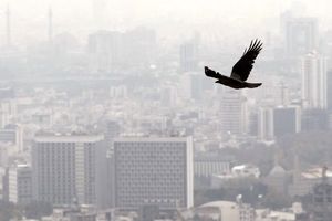 وضعیت امروز آلودگی هوا در شهرهای ایران