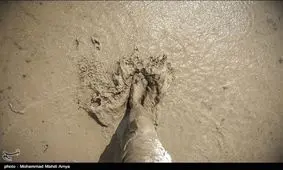 همه اراضی کشاورزی گیلان شخم زمستانه می‌شوند