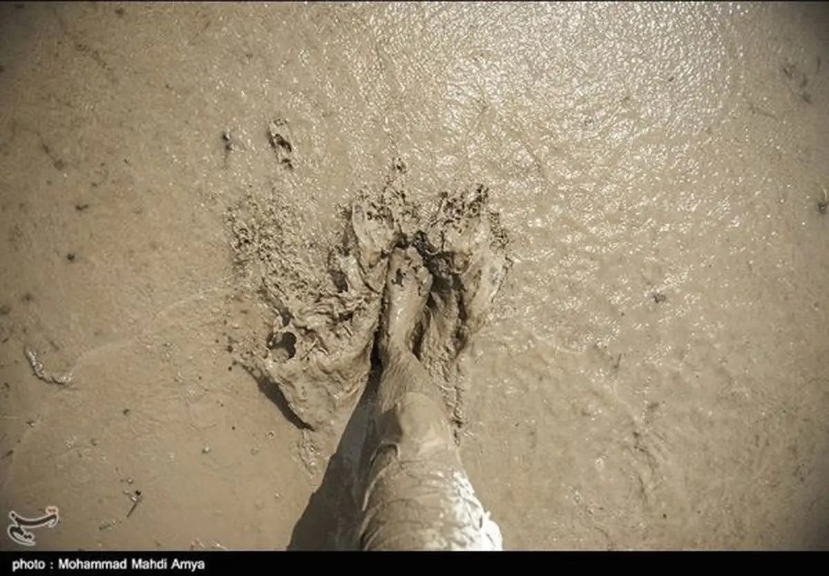 همه اراضی کشاورزی گیلان شخم زمستانه می‌شوند