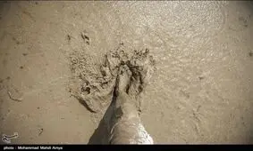 همه اراضی کشاورزی گیلان شخم زمستانه می‌شوند
