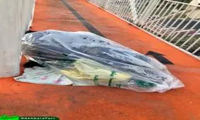 تلاش یک کارتن خواب برای محفوظ ماندن از سرما