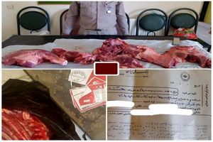 فروش گوشت خوک به جای گوشت گاو در مناطق زلزله زده