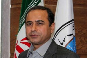 تشریح ویژگی‌های ساختار سازمانی جدید بیمه ایران