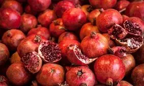 طرح نظارتی ویژه شب یلدا در استان گیلان اجرا می‌شود