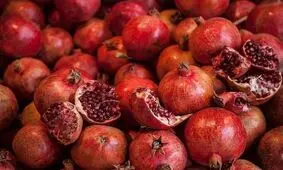 طرح نظارتی ویژه شب یلدا در استان گیلان اجرا می‌شود
