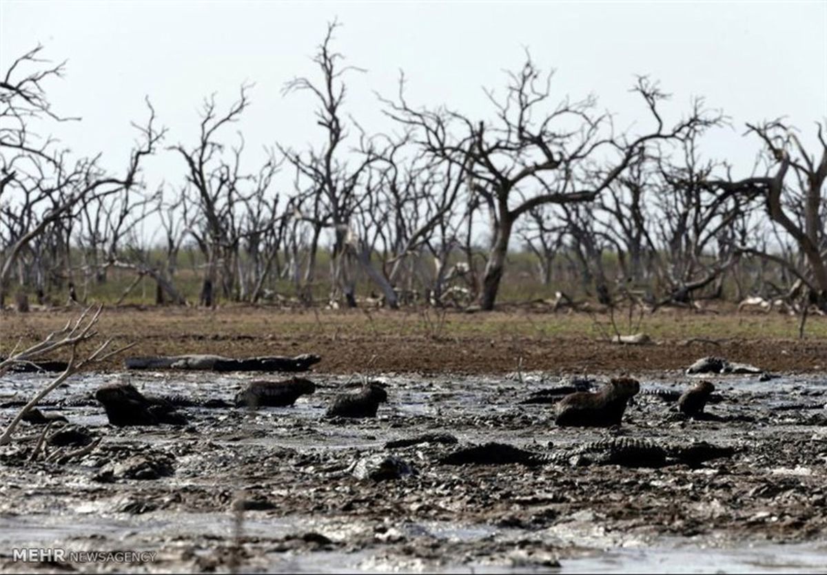 خطر افزایش خشکسالی در قم جدی است