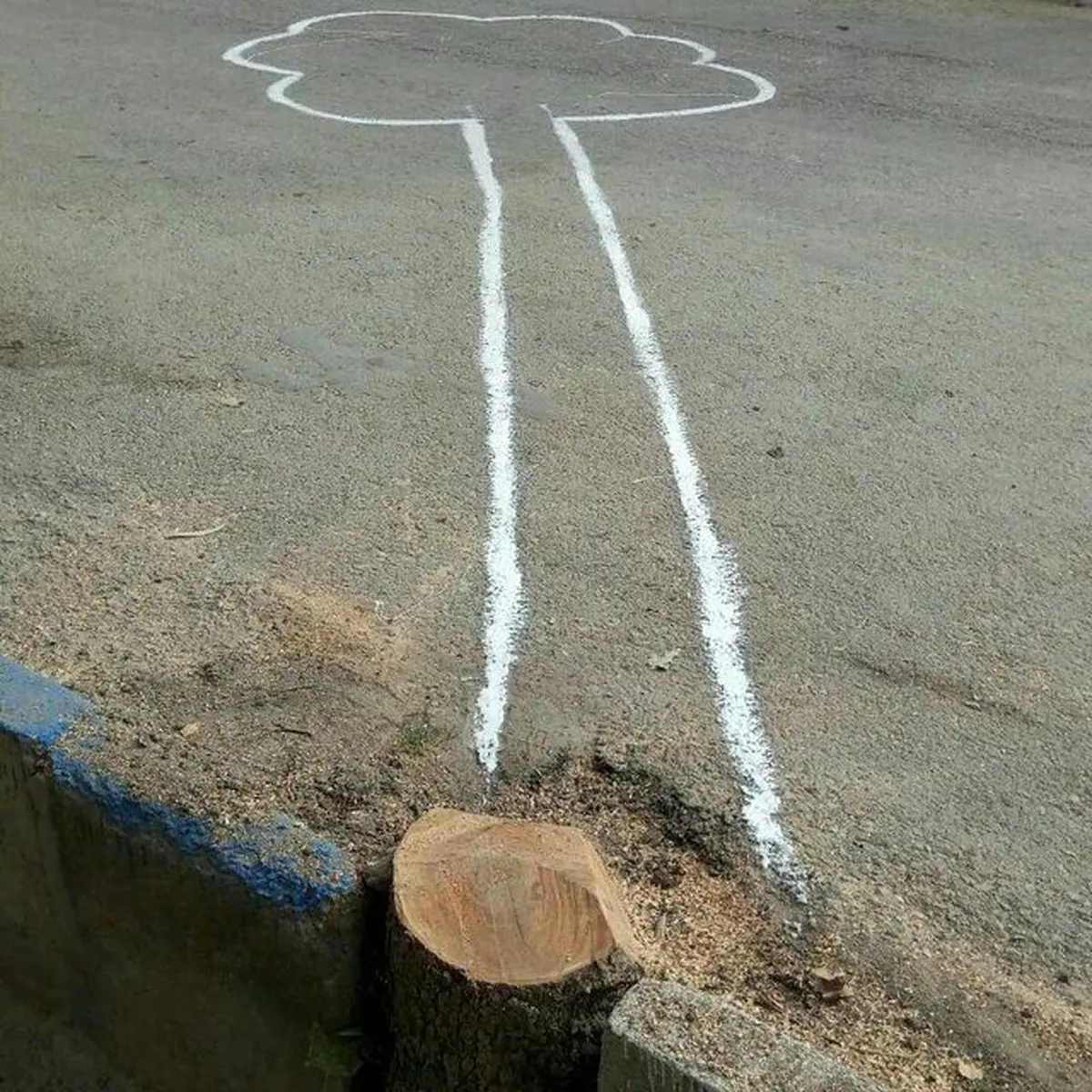 تشکیل 140 فقره پرونده مربوط به قطع اشجار در لرستان