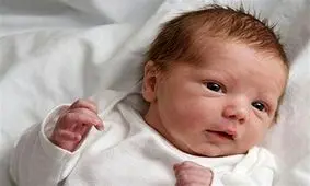 تعیین قطعی جنسیت جنین با روش‌های ژنتیکی فراهم شد