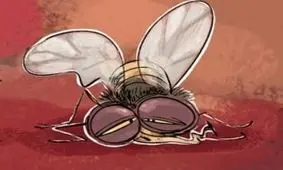 بفرما کباب الاغ