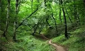 ماموریت بررسی چالش‎های منابع طبیعی و کشاورزی کشور به گلستان واگذار شد