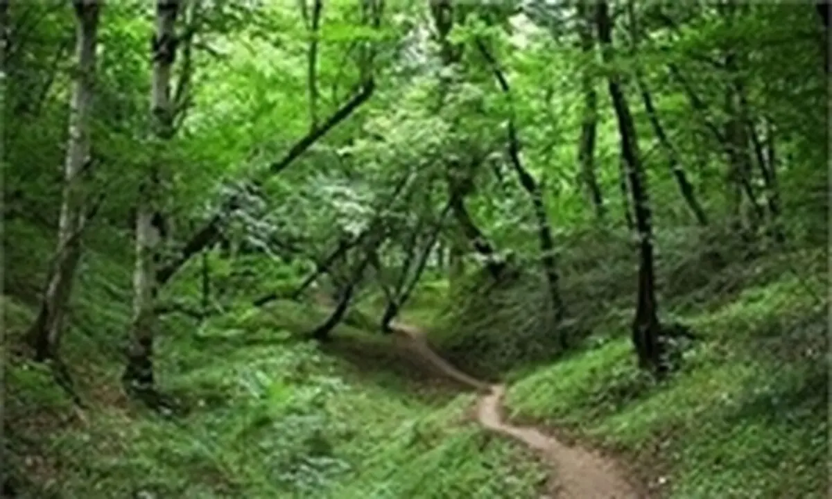 ماموریت بررسی چالش‎های منابع طبیعی و کشاورزی کشور به گلستان واگذار شد