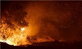 آتش‌‌سوزی در جنگل‌های کارمزد سوادکوه/ استمداد از مسؤولان/ اعزام نشدن نیروهای امدادی + تصاویر