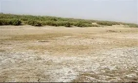 احتمال کویری شدن دشت اسدآباد وجود دراد