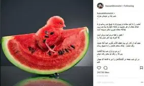 یادگار امام: از هر مصیبت و حادثه ناگوارى به خدا پناه مى‌بریم
