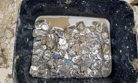 گنج سکّه‌های 700 ساله در هنگام نصب «لولۀ استخر» کشف شد