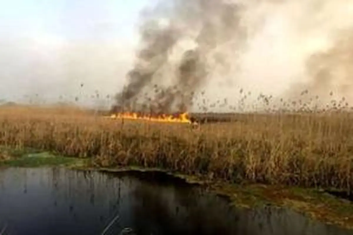 آتش در بخش عراقی هورالعظیم فعلا مهار شده است