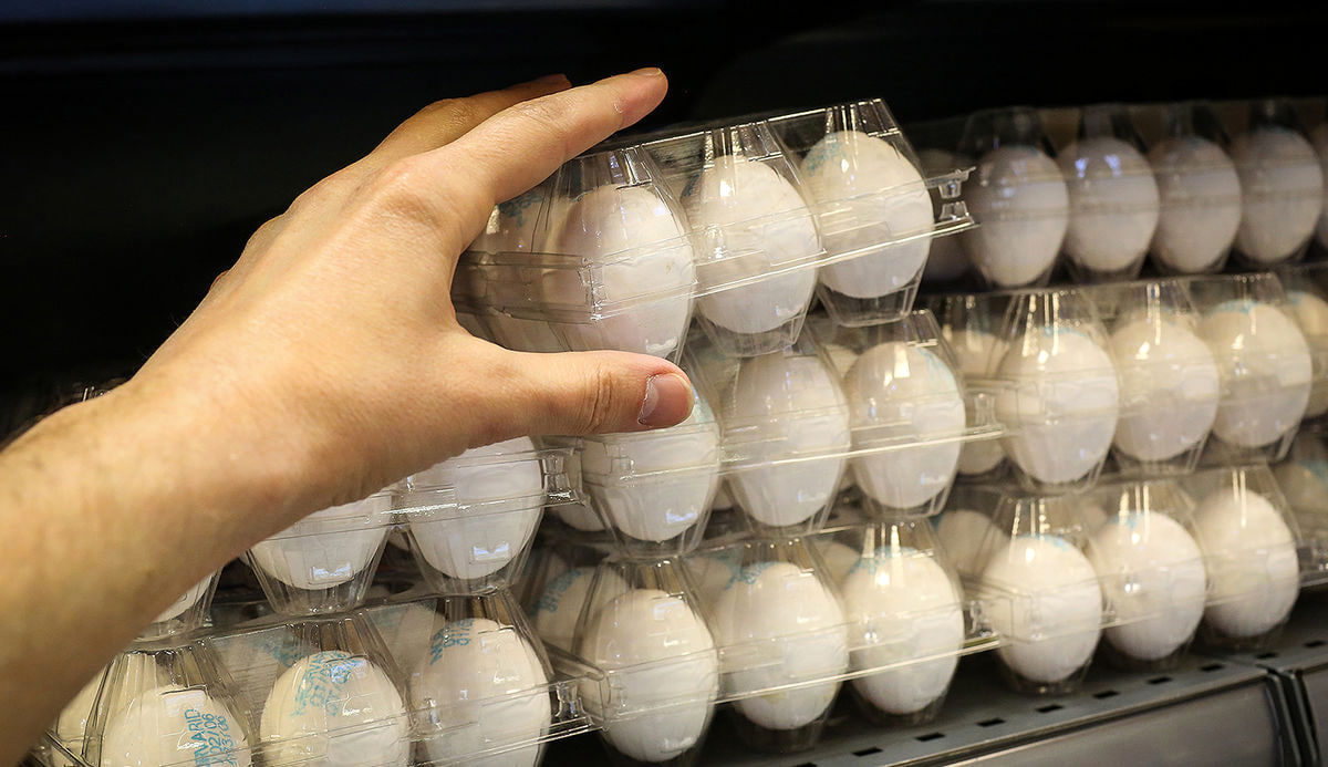 قیمت جدید تخم مرغ بسته‌بندی اعلام شد/ قیمت‌های جدید از ابتدای تیرماه اجرا می‌شود
