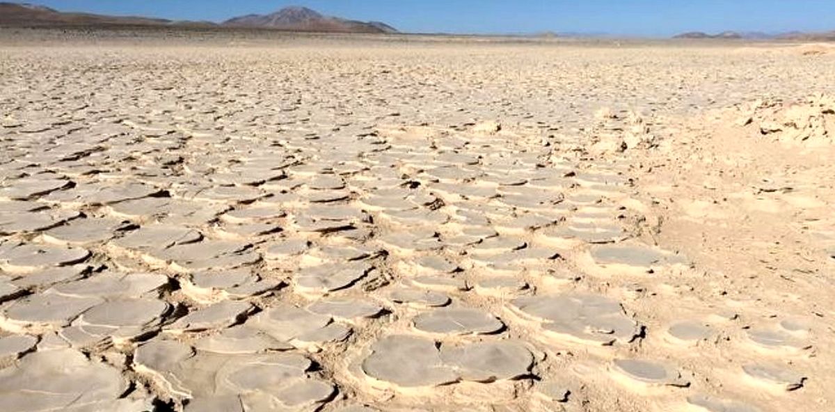 کشف یک «زیستگاه» عظیم در عمق چهار متری خشکترین صحرای جهان