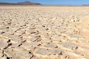 کشف یک «زیستگاه» عظیم در عمق چهار متری خشک‌ترین صحرای جهان
