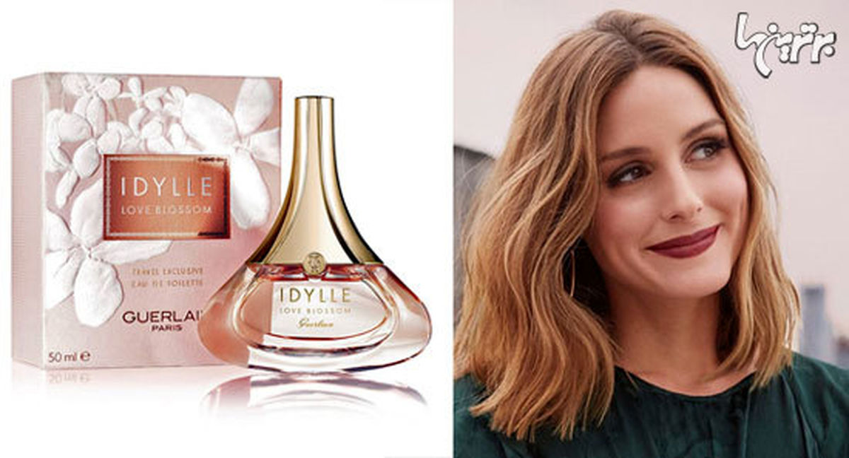 عطرهای محبوب ستارههای هالیوود را بشناسید