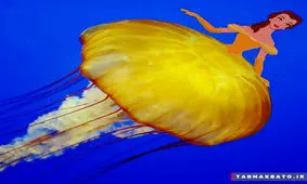 خلق تصاویر زیبا با هنر دیجیتال (عکس)