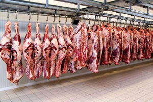 قیمت گوشت گوسفندی به۵۶هزارتومان رسید/دلار، بازار قاچاق را گرم کرد