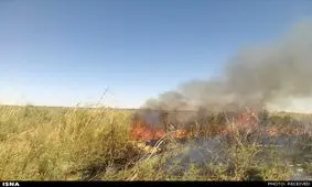 8 نقطه از هورالعظیم در عراق دچار آتش‌سوزی است / احتمال سرایت حریق به بخش ایرانی هور