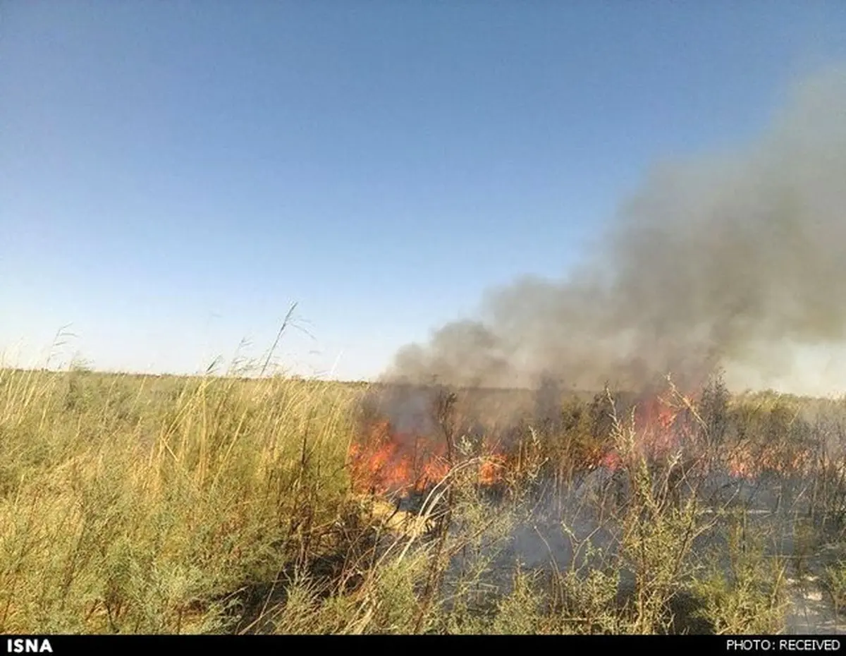 8 نقطه از هورالعظیم در عراق دچار آتش‌سوزی است / احتمال سرایت حریق به بخش ایرانی هور