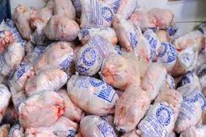 مرغ تازه دولتی با قیمت هر کیلو ۷۹۹۰ تومان توزیع می شود