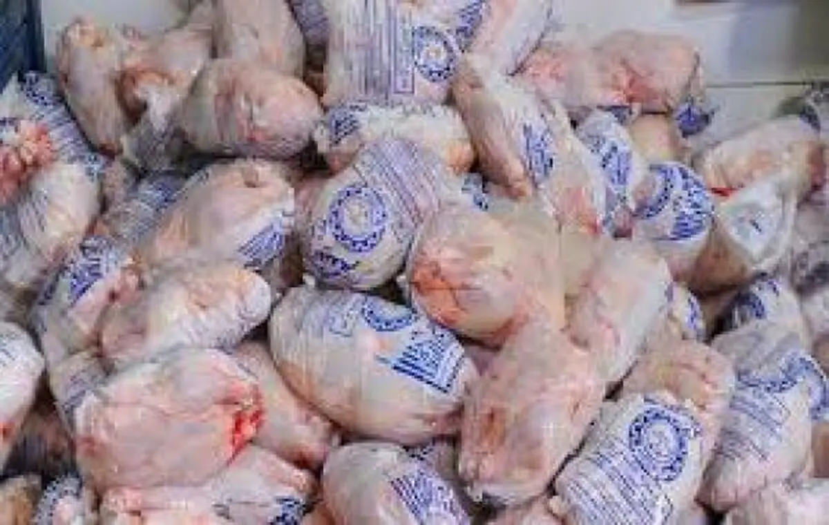 مرغ تازه دولتی با قیمت هر کیلو ۷۹۹۰ تومان توزیع می شود