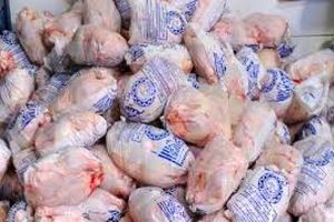 مرغ تازه دولتی با قیمت هر کیلو ۷۹۹۰ تومان توزیع می شود