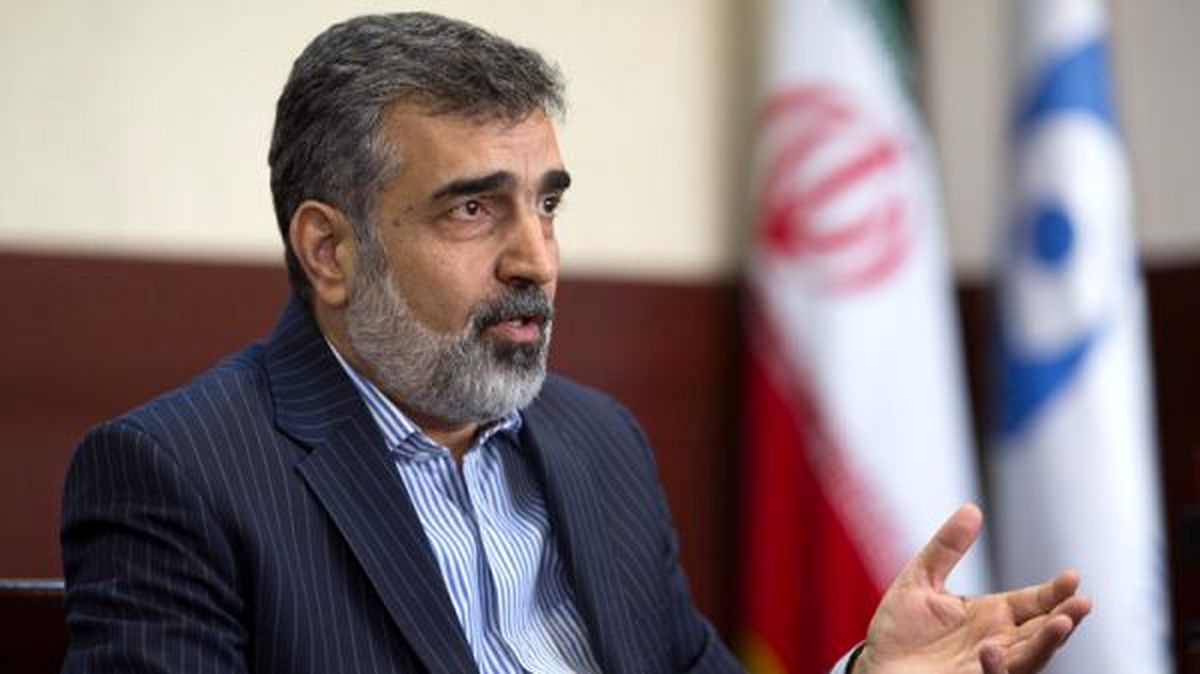 میتوانیم غنی سازی برای رسیدن به 190 هزار سو را از 10 به 5 سال کاهش دهیم/ دستور رهبر انقلاب درباره UF6 و UF4 در حال اجراست
