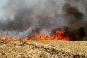 آتش‌سوزی پارک ملی تندوره مهار شد