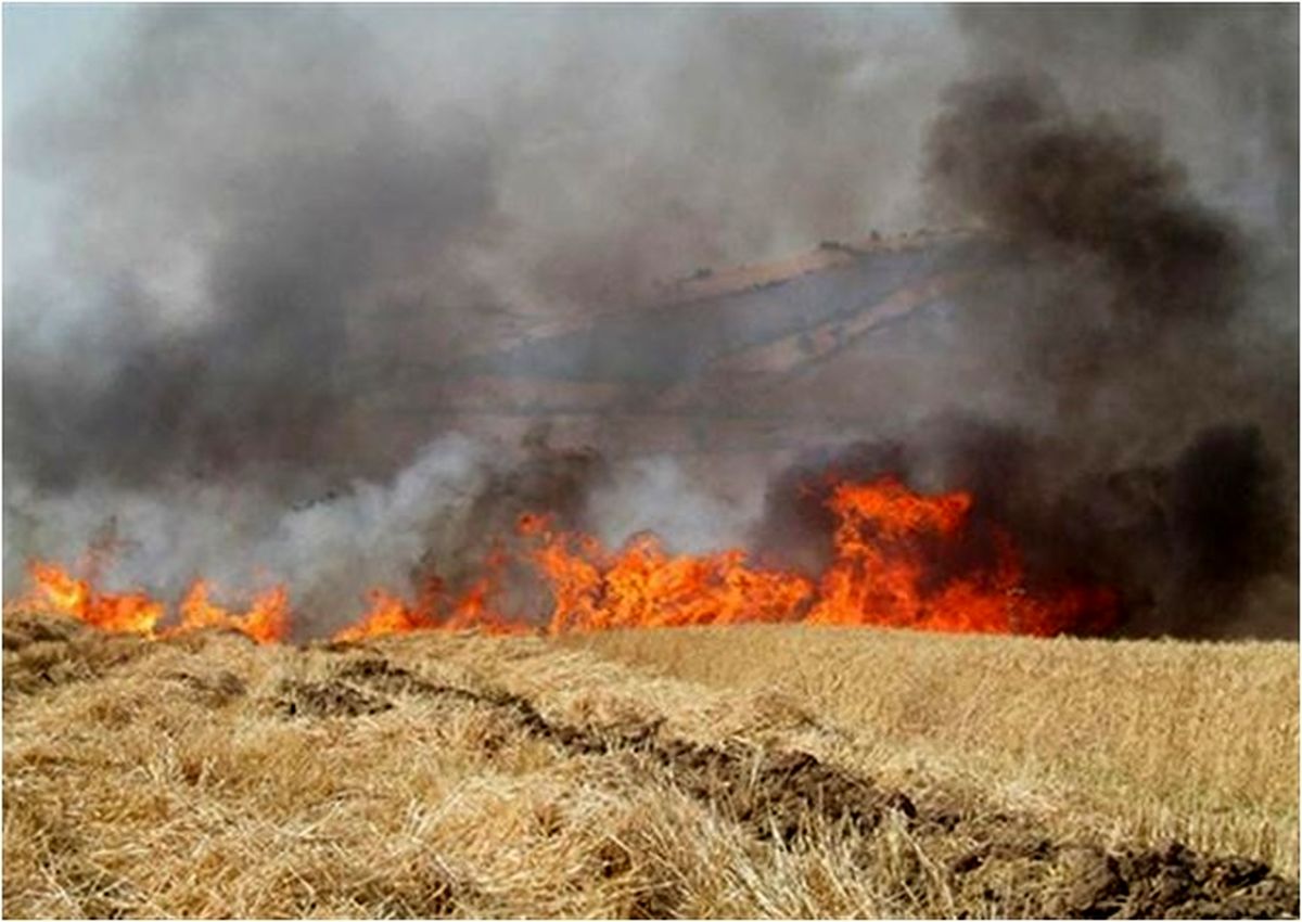 آتش‌سوزی پارک ملی تندوره مهار شد