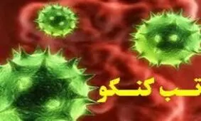 تب کریمه کنگو در کمین کردستانی‌ها