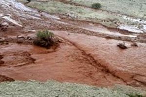 سیل 7 روستای‌ چهاردانگه را درنوردید/ خسارت به 8 واحد مسکونی در روستای چالو