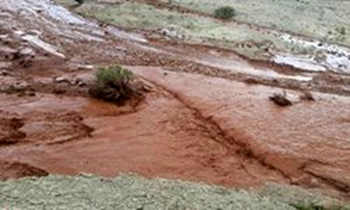 سیل 7 روستای‌ چهاردانگه را درنوردید/ خسارت به 8 واحد مسکونی در روستای چالو