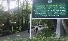 پیگیری یک «توهین بزرگ» به موسیقی