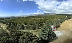 بزرگ‌ترین پارک جنگلی کشور تا پایان سال در قم به بهره‌برداری می‌رسد