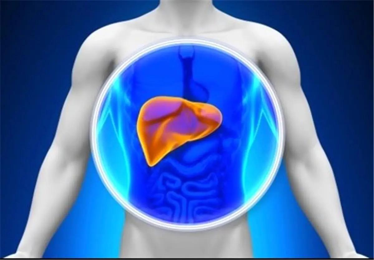 استفاده از سلولهای بنیادی برای مطالعه بیماری کبد چرب