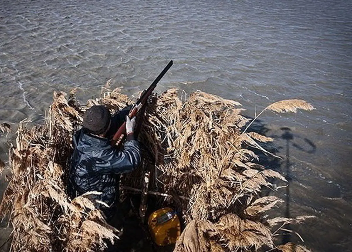 شکارچیان غیرمجاز، بلای جان حیات‌وحش