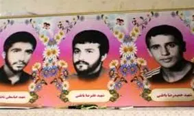 مازندران| مادر شهیدان باطبی به فرزندان شهیدش پیوست