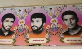 مازندران| مادر شهیدان باطبی به فرزندان شهیدش پیوست