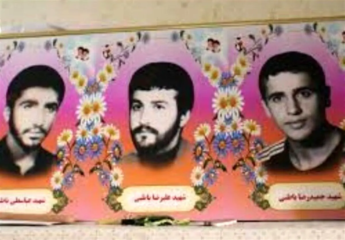 مازندران| مادر شهیدان باطبی به فرزندان شهیدش پیوست