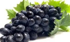 مویز؛ تصفیه کننده ریه و رفع کننده یبوست