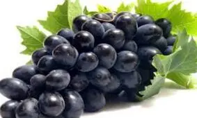 مویز؛ تصفیه کننده ریه و رفع کننده یبوست